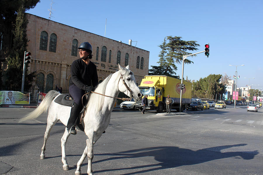 White Horse in Bethlehem Street Photograph by Munir Alawi