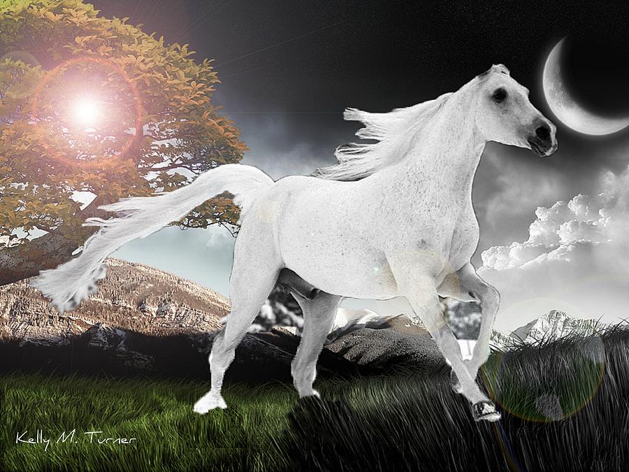 White Horse Digital Art by Kelly M Turner