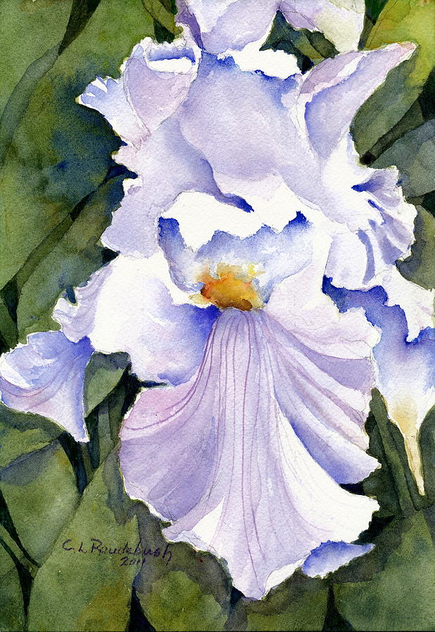 White Iris Painting by Cynthia Roudebush - Fine Art America