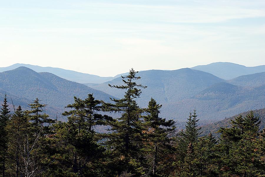 White Mountain National Forest I Photograph by Joe Faherty