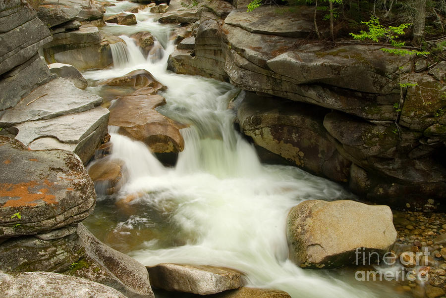 White Mountain Stream II Photograph by Alana Ranney