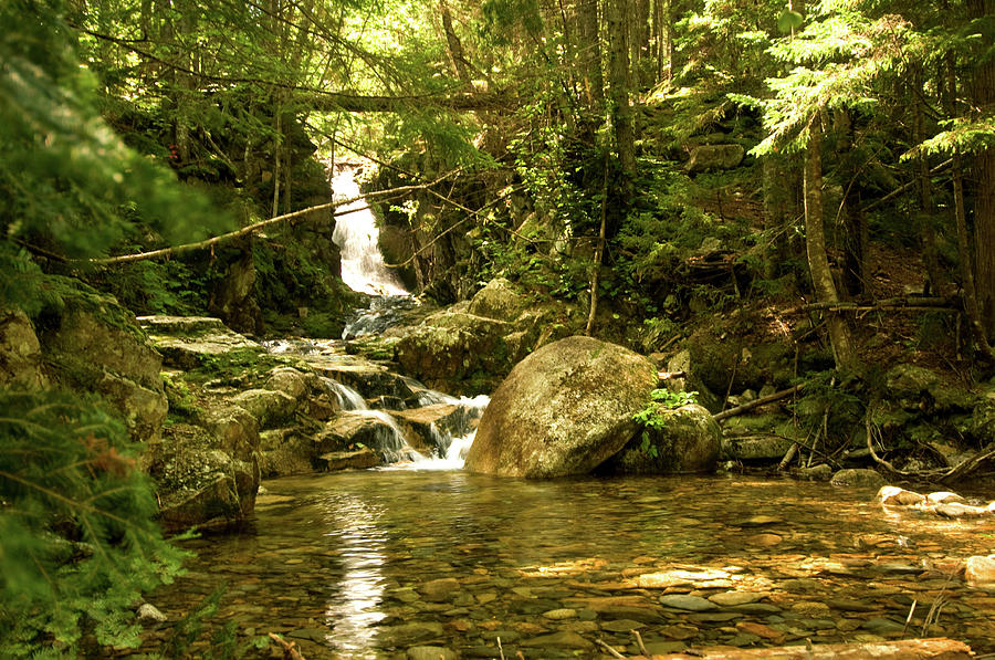 White Mountain Stream Photograph by Paul Mangold