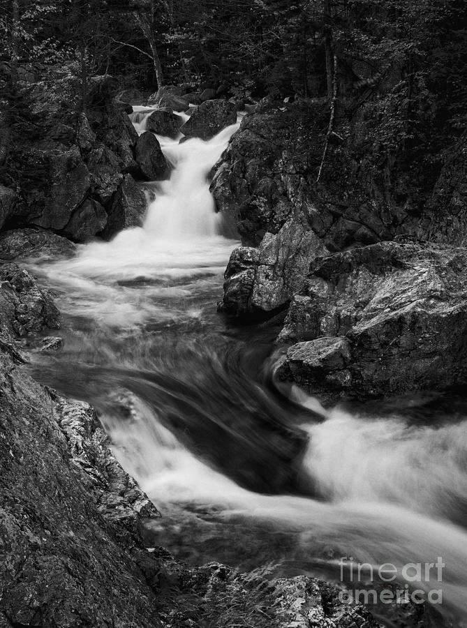 White Mountains Stream Photograph by David Waldrop