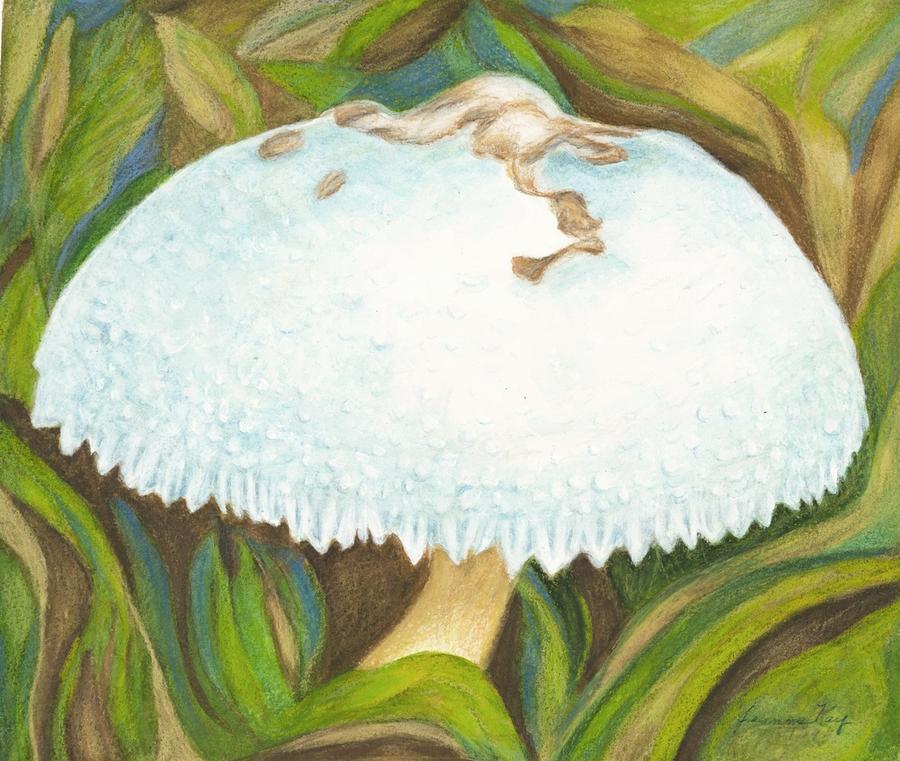 White Mushroom  Painting by Jeanne Juhos