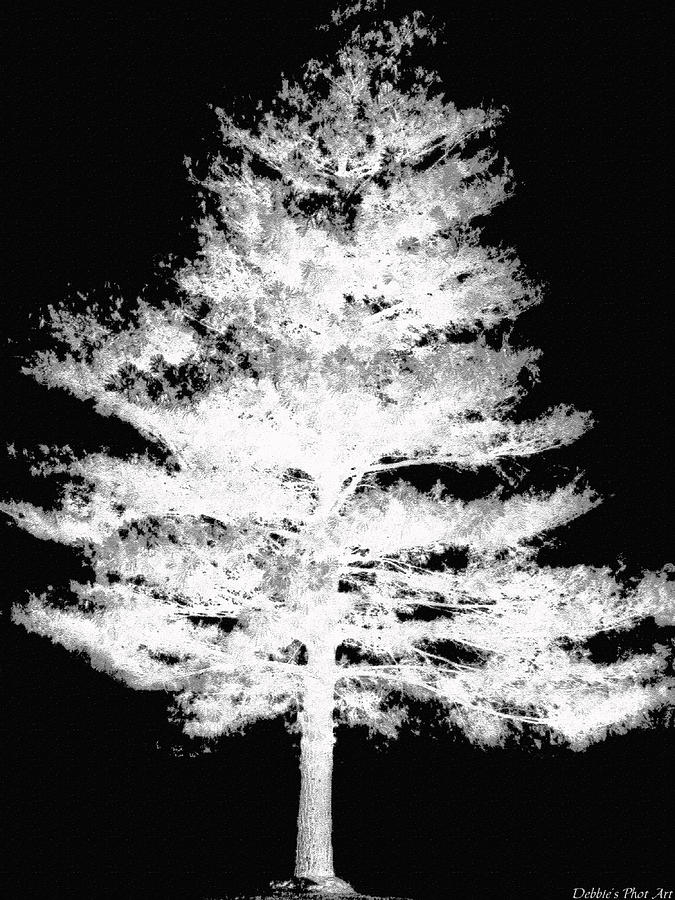 White on Black tree Digital Art by Debbie Portwood