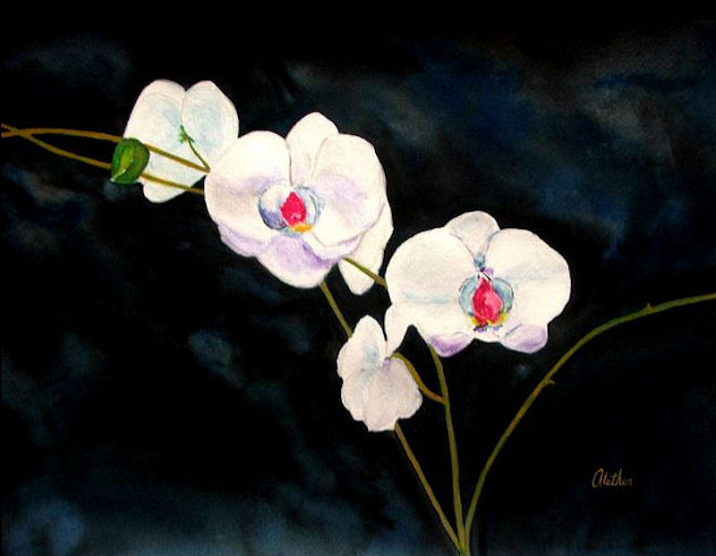 White Orchids Painting by Alethea M