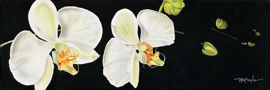 White Orchids Painting by Dan Menta