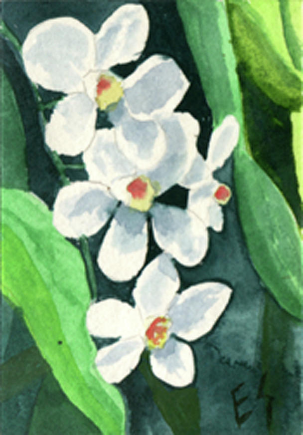 White Orchids Painting by Eric Samuelson