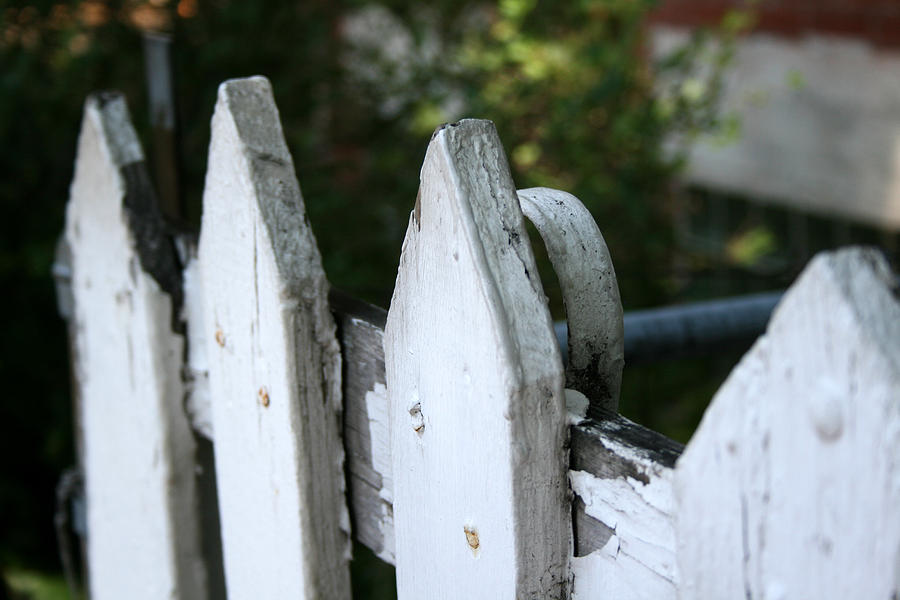 White Picket Fence Photograph by Laura Kinker