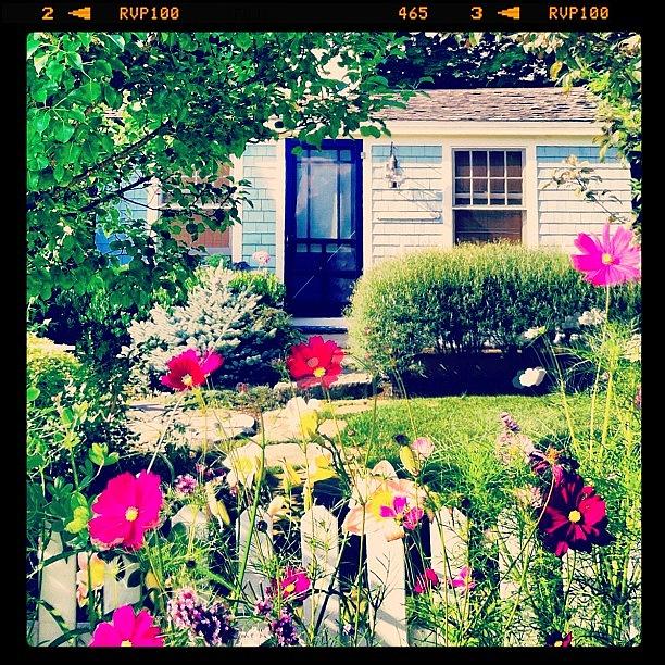 Cottage Photograph - White Picket Fence! by Lia Kent