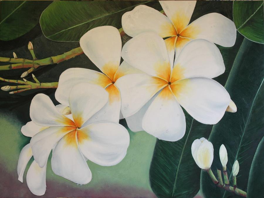 White Plumeria Painting by Teri Vaughn