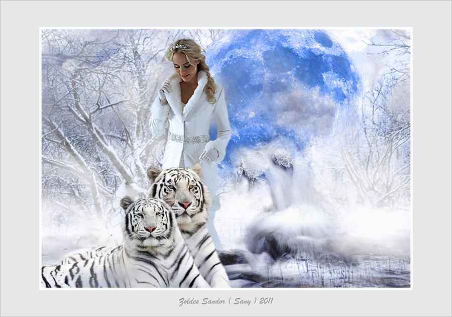 White Queen Digital Art by Zoldes Hampel Sandor