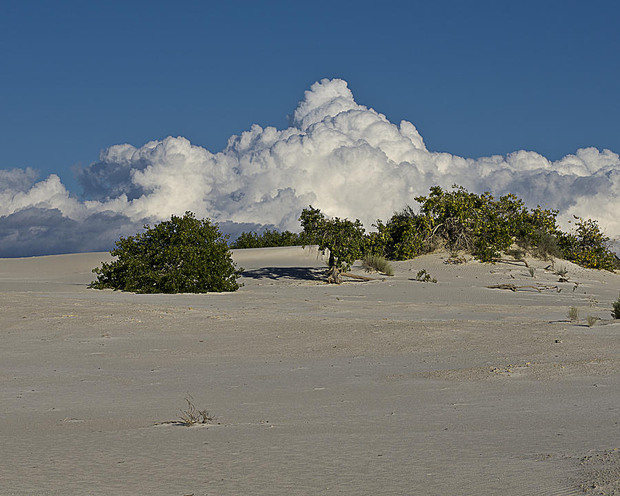 Clouds Photograph - White Sands After the Storm by Bob Bailey