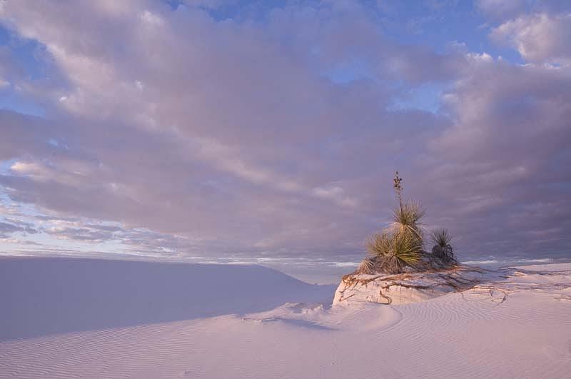 White Sands at Sunset Photograph by Carolyn DAlessandro