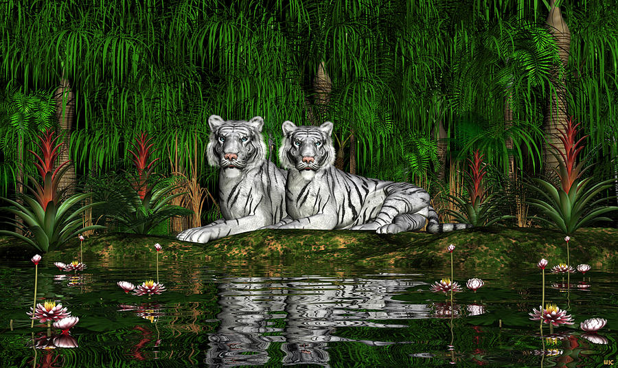 White Tigers Digital Art by Walter Colvin