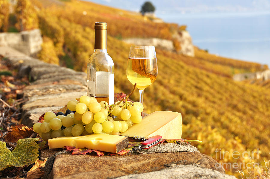 White wine and grapes Photograph by Alexander Chaikin | Fine Art America