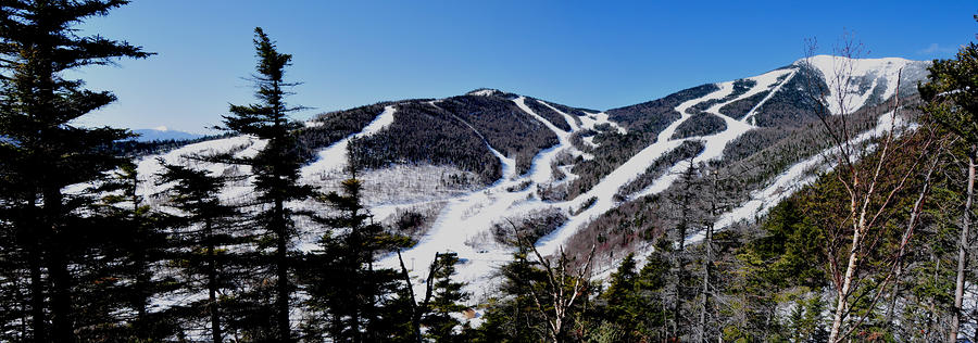 Whiteface Ski Trails Photograph by Peter DeFina