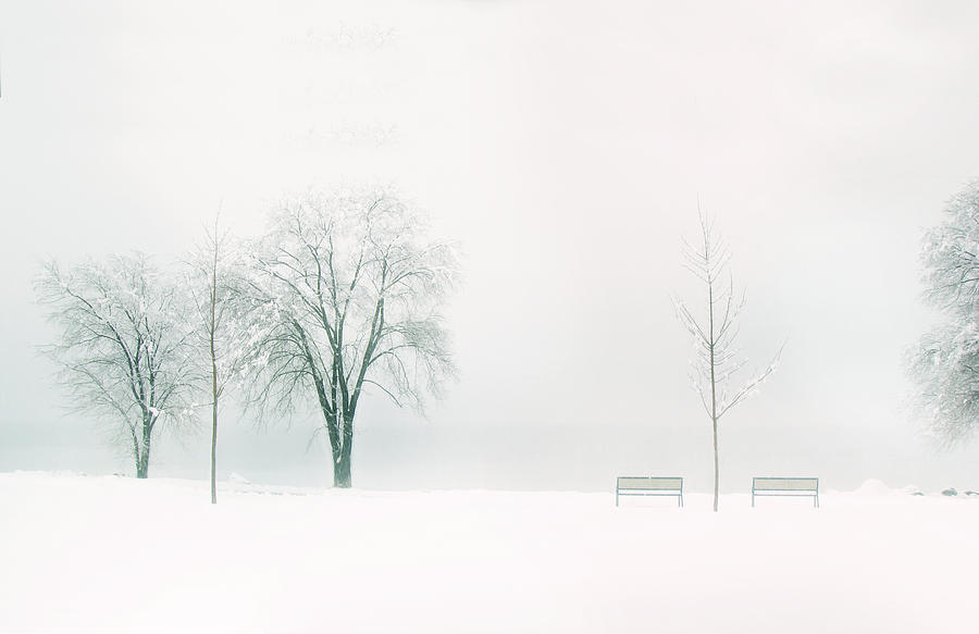 Whiter Shade of Pale Photograph by John Poon