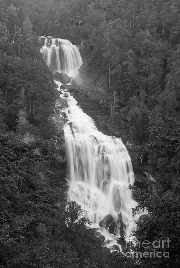 Whitewater Falls I Photograph by David Waldrop