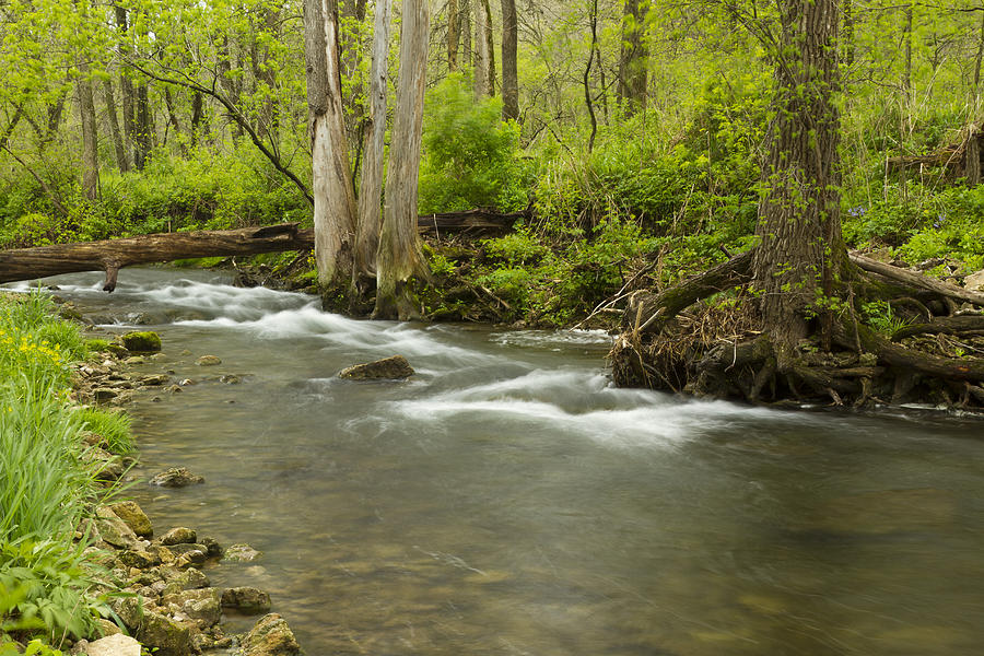 Nature Photograph - Whitewater River Spring 15 by John Brueske