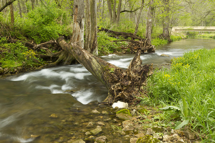 Nature Photograph - Whitewater River Spring 19 by John Brueske