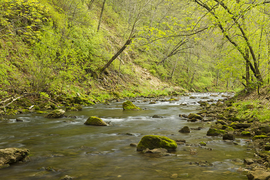 Nature Photograph - Whitewater River Spring 20 by John Brueske