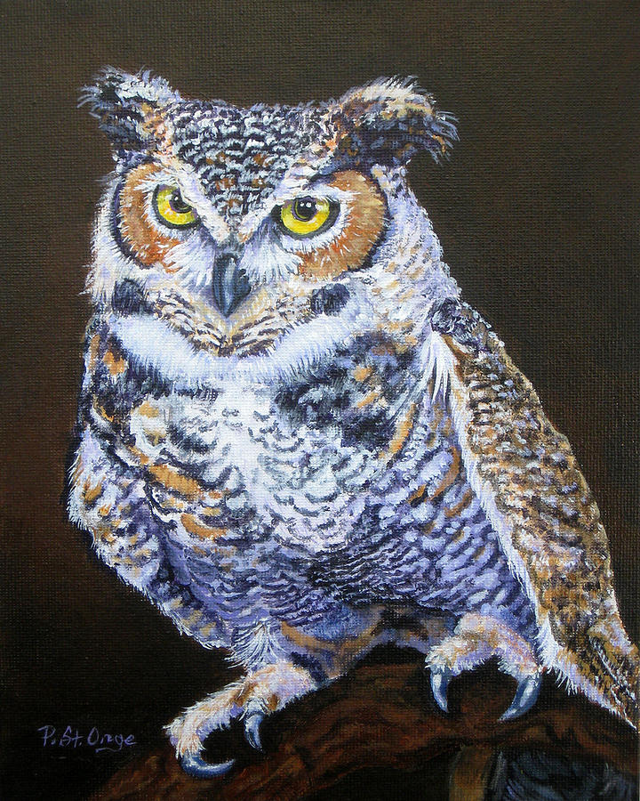 Owl Painting - Who Gives a Hoot by Pat St Onge