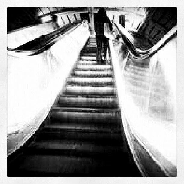 Blackandwhite Photograph - Who Is On The Move This Monday Morning by Mary Carter