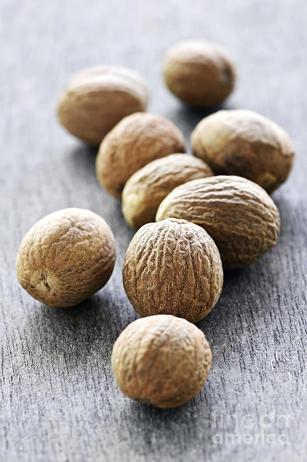 Nutmeg Photograph - Spices 7 - Nutmeg by Elena Elisseeva