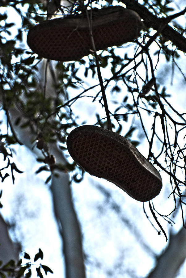 Tree Photograph - Whos Shoes by Stephanie Haertling