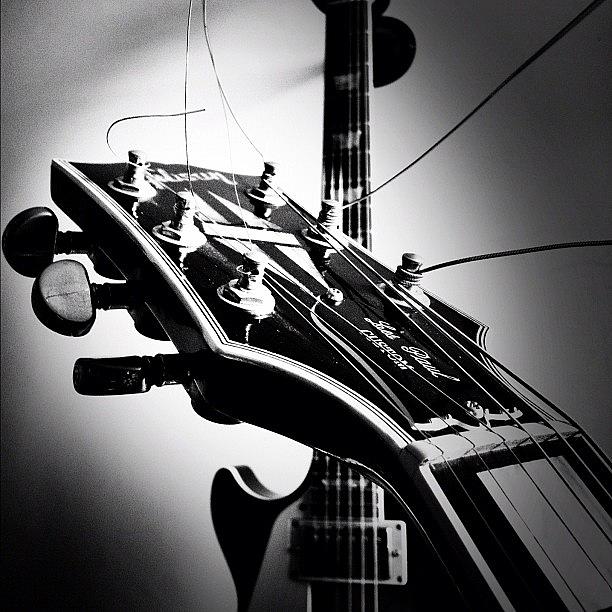 Guitar Photograph - Whos The #killer?! #gibson #lespaul by Max Guzzo