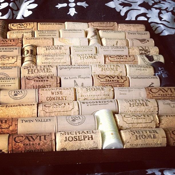 Whos The Proud Owner Of A Wine Cork Photograph by Eli Brannon