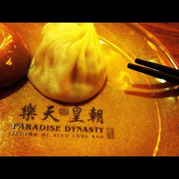 Why Is Small Dragon Pao Covered By Photograph by Kian Hui