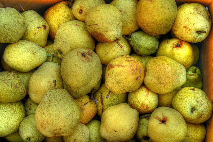 Why Set Pears Upon Those Riverbanks? Photograph by William Fields