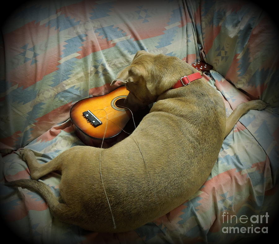 Why Wont It Play Anymore? Photograph by Renee Trenholm
