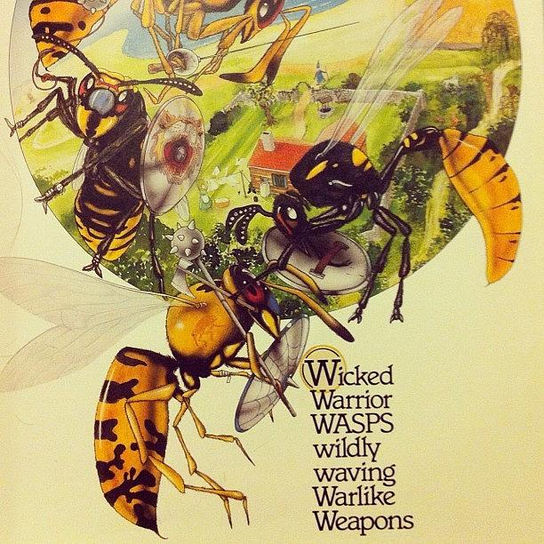 Book Photograph - Wicked Wasps by Megan Lacy