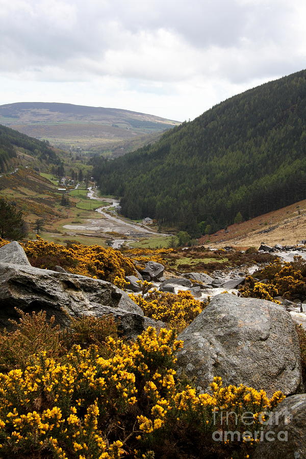 Wicklow Mountains I Photograph by Christiane Schulze Art And Photography