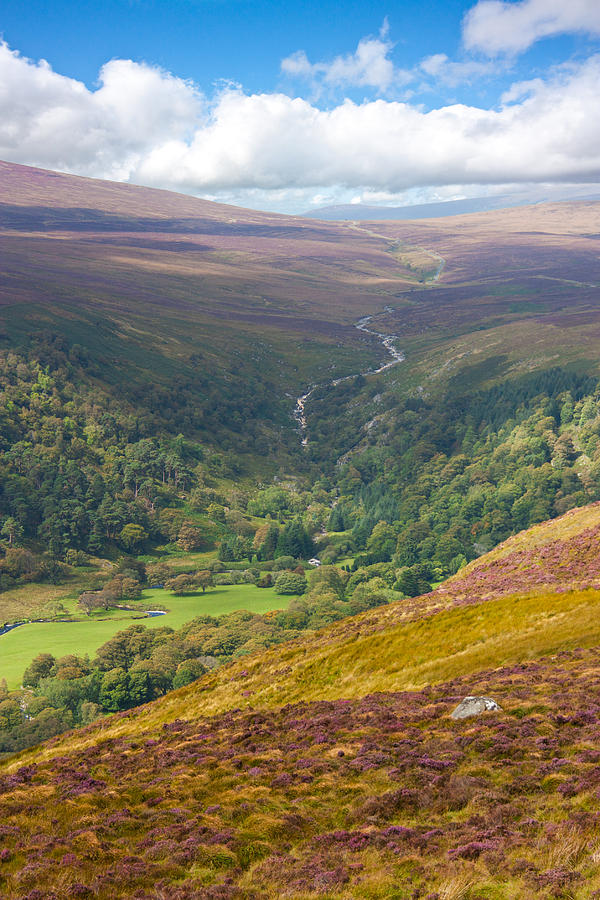 Wicklow Mountains Photograph by Semmick Photo