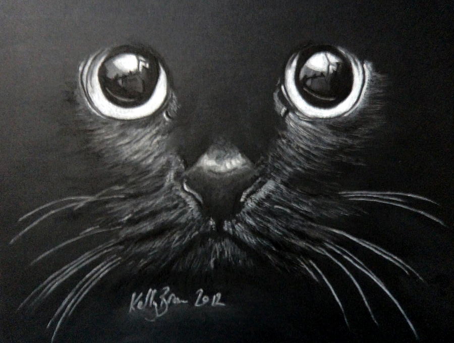 Cat Drawing - Wide Eyed Cat by Kelly Brown