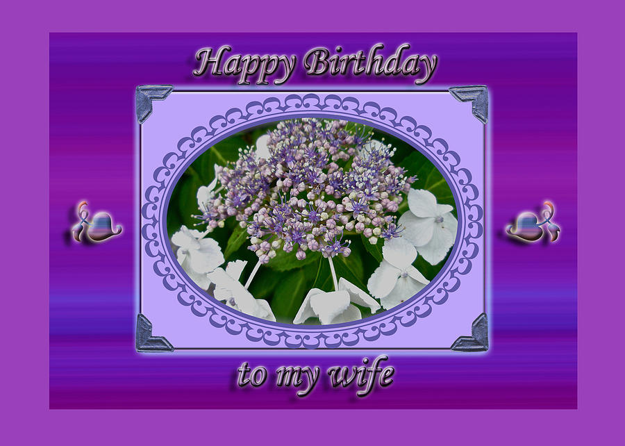 Wife Birthday Card - Lace Cap Hydrangea Photograph by Carol Senske