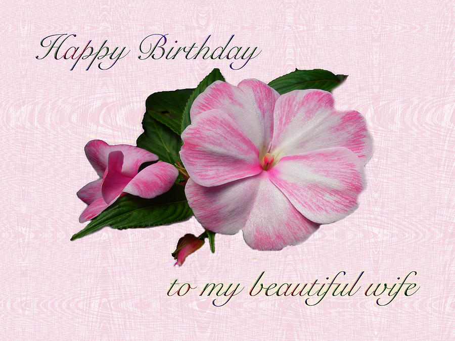 Nature Photograph - Wife Birthday Greeting Card - Pink Impatiens Blossom by Carol Senske
