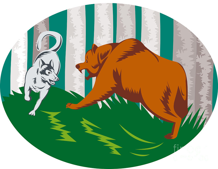 Wolves Digital Art - Wild Dog Wolf Fighting Grizzly Bear by Aloysius Patrimonio