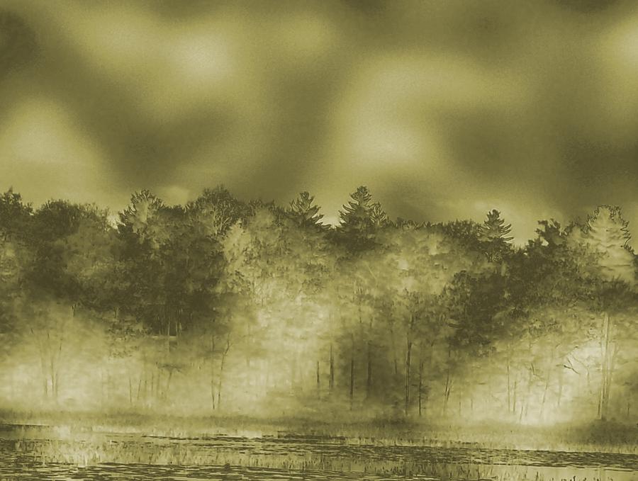 Wild Fire Photograph by Barbara S Nickerson - Fine Art America