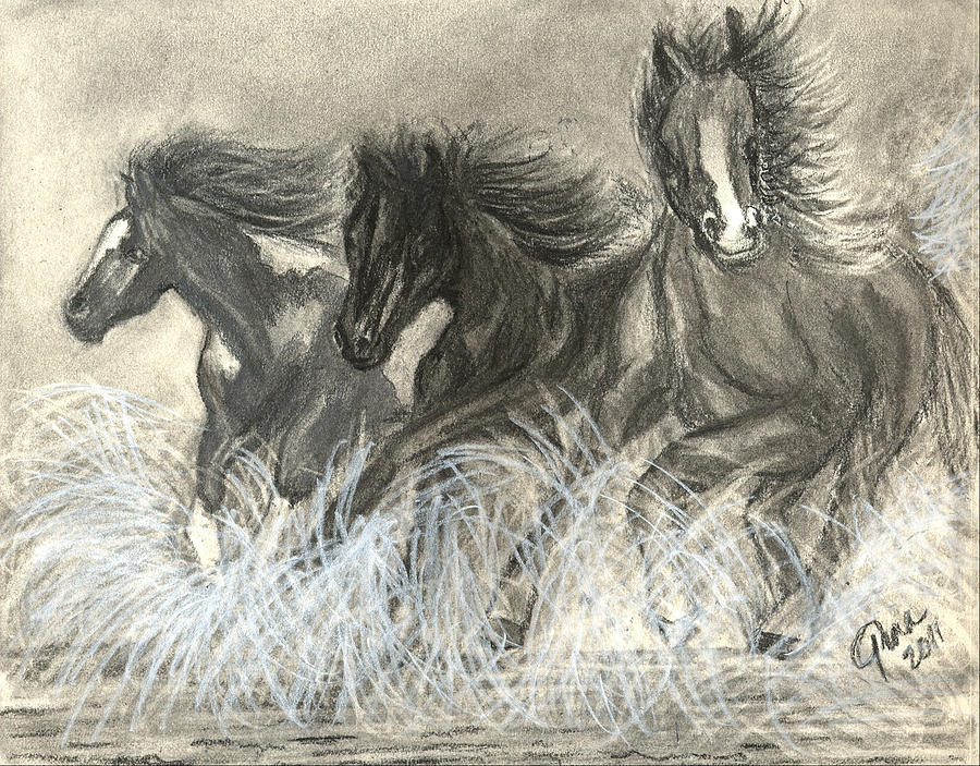 sketches of wild horses