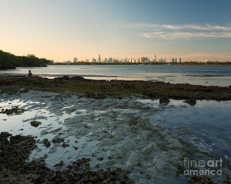 Miami Photograph - Wild Miami Sunset by Matt Tilghman