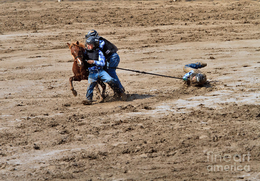 Wild Pony Race at the Calgary Stampede Photograph by Louise Heusinkveld