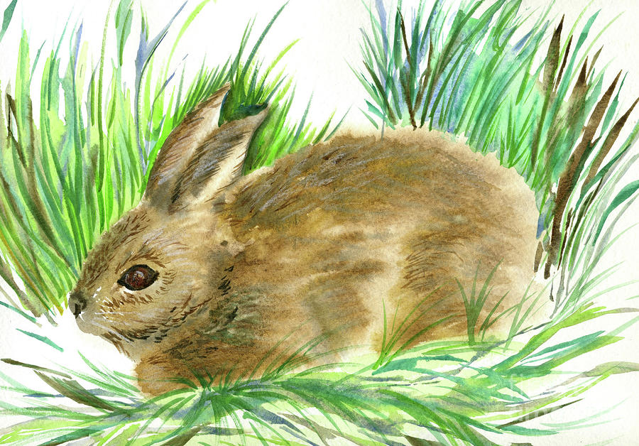 Wild Rabbit Painting