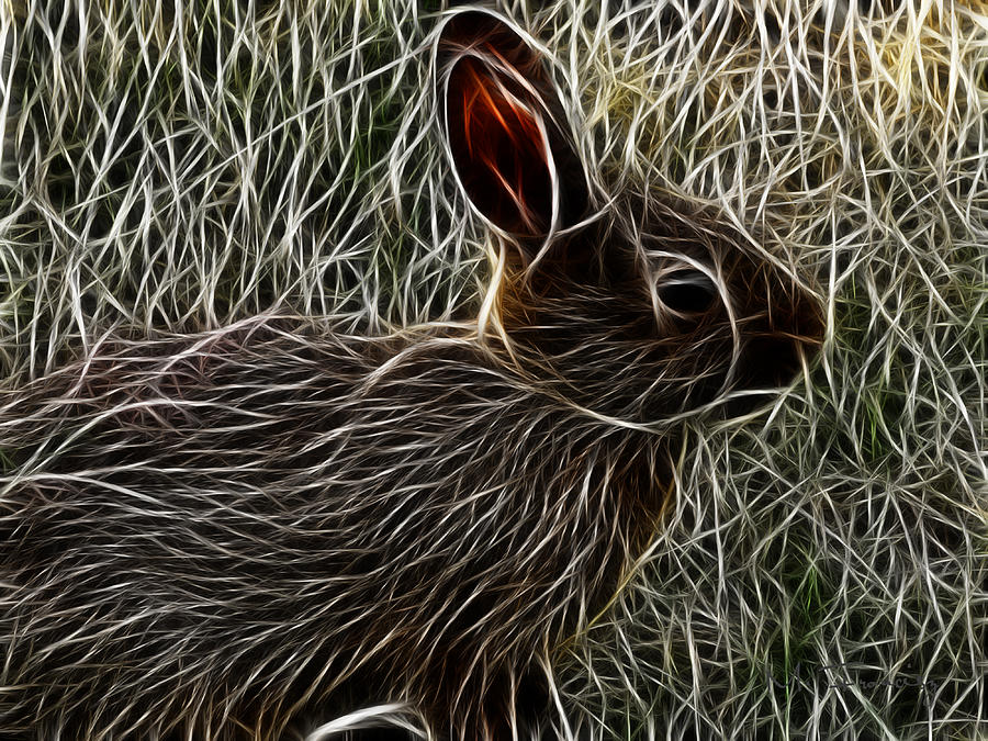 Wild Rabbit Digital Art by Maciek Froncisz