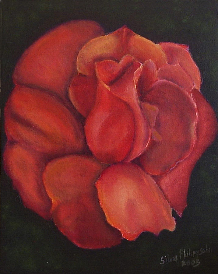 Wild rose Painting by Silvia Philippsohn