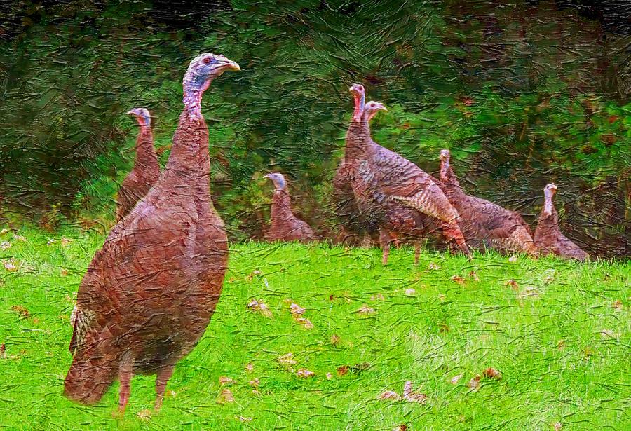 Wild Turkey - 4 Photograph by Larry Mulvehill